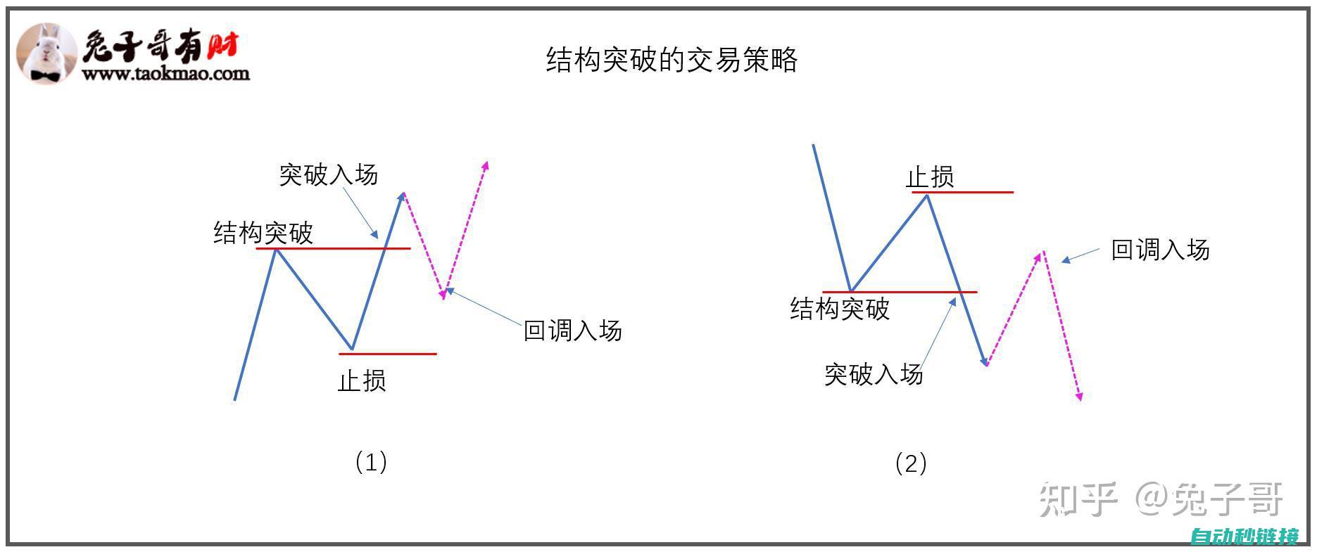 结构与功能解析 (结构与功能举例)