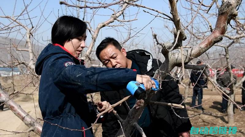 专业技师手把手教你排除故障 (专职技师)