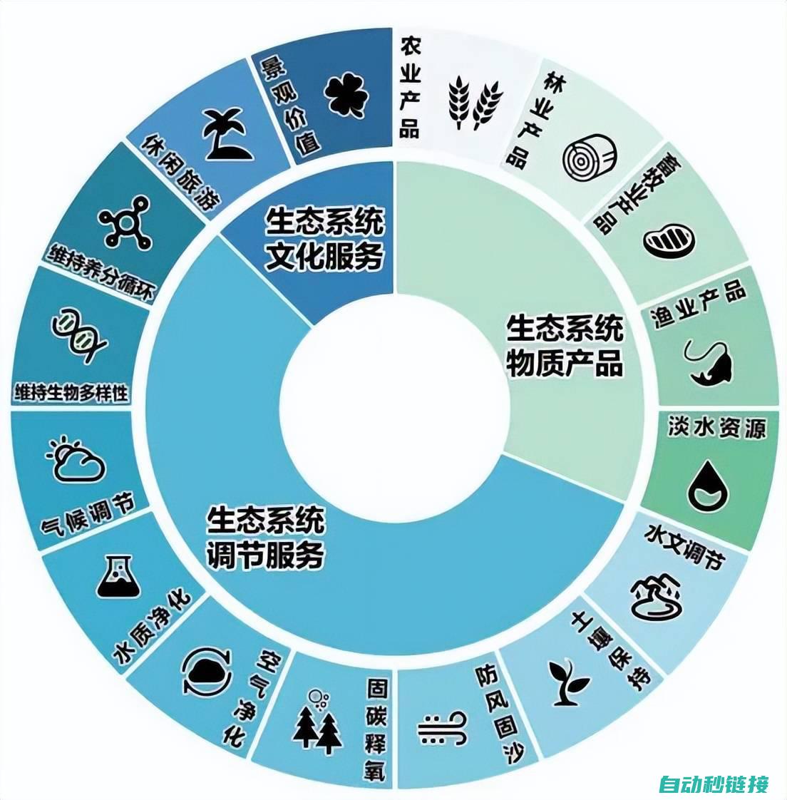 探索循环机制与代码实践 (探索循环机制是什么)