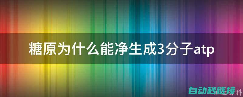 详细步骤与教程 (详细步骤教你包粽子怎么包三角粽子图解)